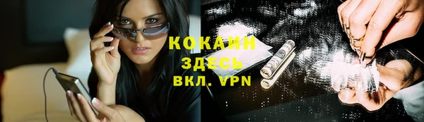 дмт Алексин