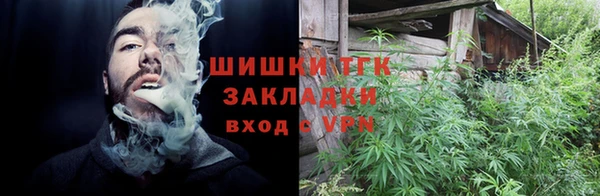 прущий лед Алзамай