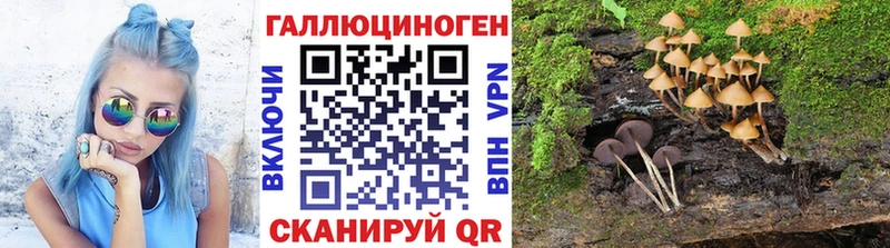 Псилоцибиновые грибы Magic Shrooms  Камышин 