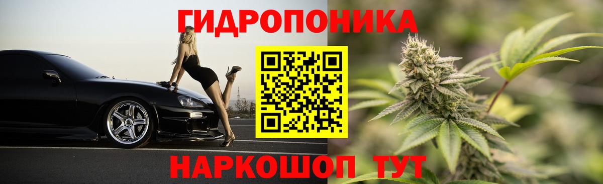 МАРИХУАНА план  Марихуана SATIVA & INDICA  Камышин  Бошки марихуана THC 21%  Вход с VPN  Шишки марихуана THC 21% 